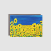 Imagem do carro "Stand for Democracy"