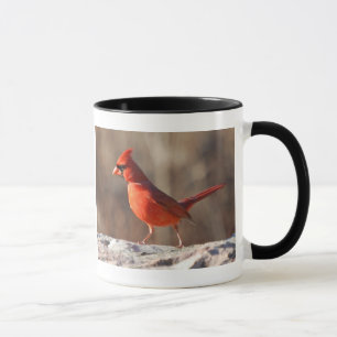 Imagem e informação cardinais do norte - caneca