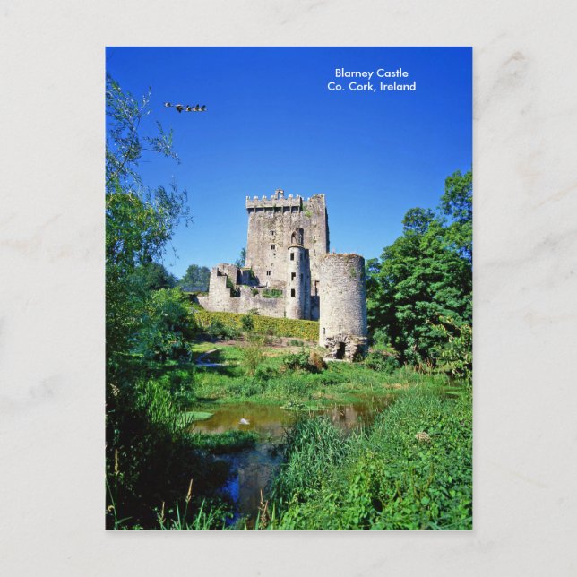 Imagem irlandesa para o cartão (Frente)