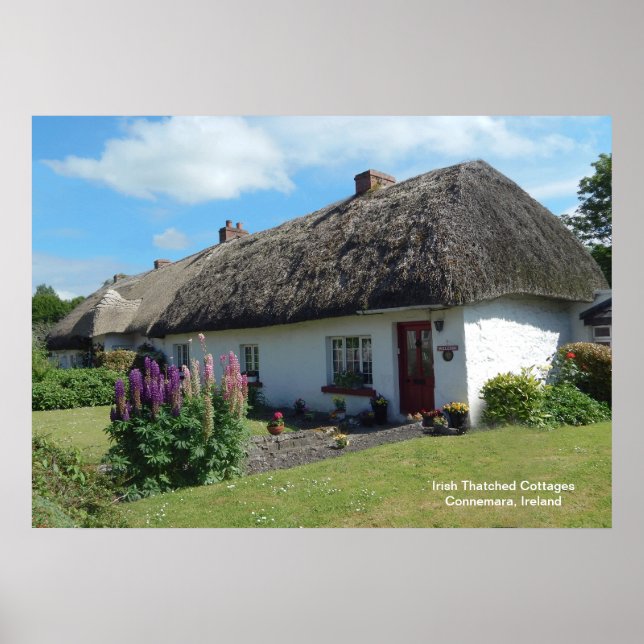 Imagem irlandesa para Poster (Frente)