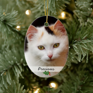 Imagens de Animais de Companhia, Ornamento Duplo