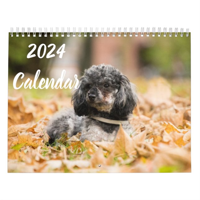 Imagens de Cachorro de Poodle em Cute Calendário 2 (Capa)