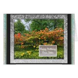 Imagens Fotográficas para Cartão de Aniversário Ir