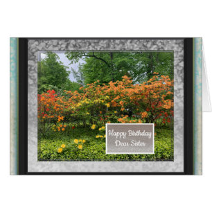 Imagens Fotográficas para Cartão de Aniversário Ir