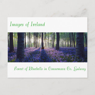 Imagens irlandesas para cartão postal