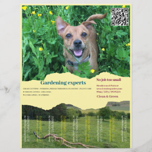 Imagens quadradas de Rasgos do Flyer Gardening