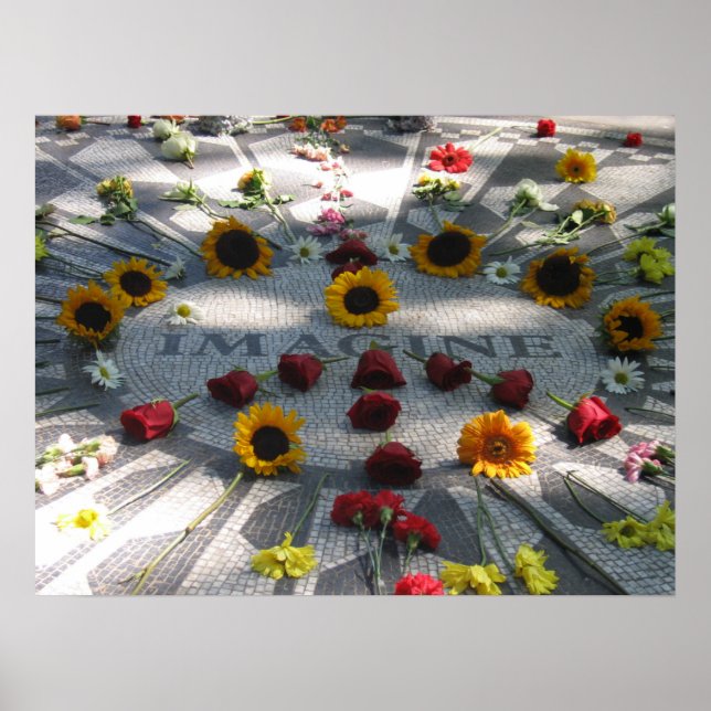 IMAGINE Mosaico, Campos de Morango, NY - poster (Frente)