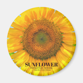 ÍMAN ひ ま わ り