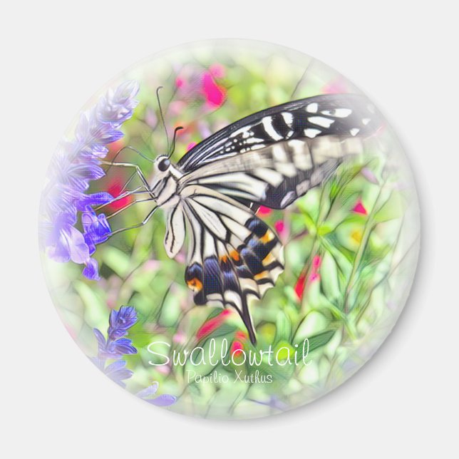 ÍMAN ア ゲ ョ ウ マ グ ハ . (Frente)