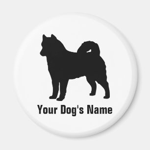 Íman ア Malamute do Alaska ラ ス カ ン ・ ラ マ