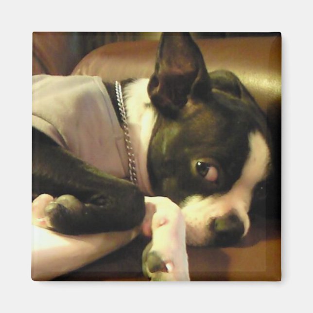 ÍMAN ブチ　マグネット　角 (Frente)