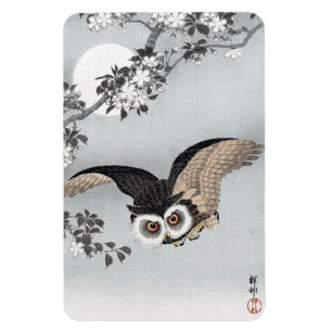Íman 月 と フ ロ ウ, 古 ク Flying Owl & Moon, Ko