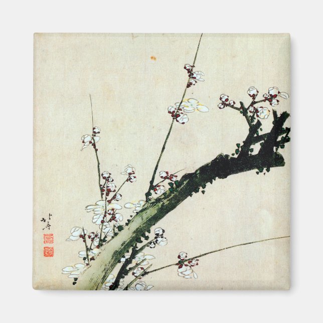 Íman 梅 花, 北 斎 Blossomas de ameixa, Hokusai, Ukiyo-e (Frente)
