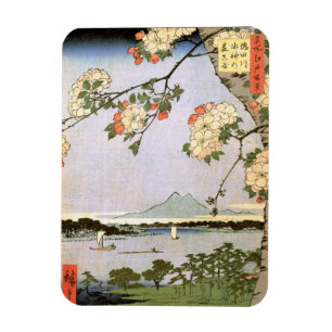 Íman 江戸の桜, flores de cerejeira do 広重 de Edo