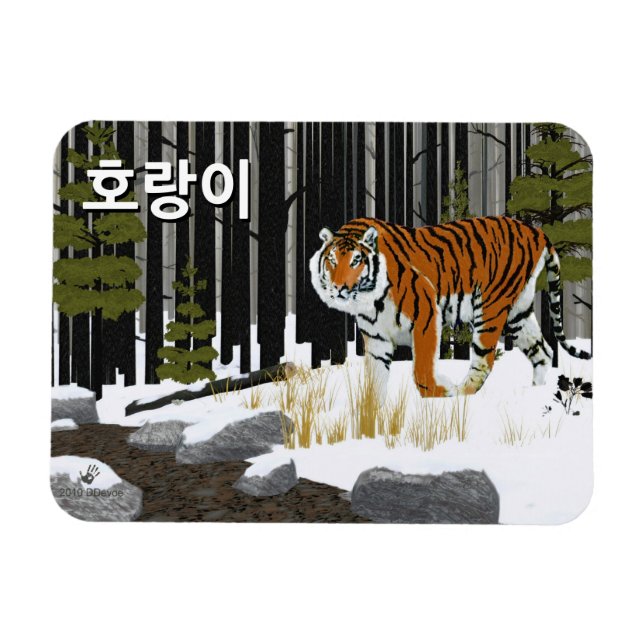 Íman 호 랑 이 (Tigre Siberiano) (Horizontal)