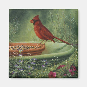 Íman 0487 Magneta cardeal