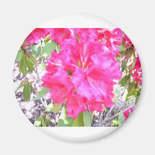 ÍMAN 100.292 (Frente)