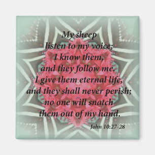 Íman 10:27 de John - 28