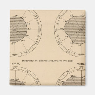 Íman 122 Mortes doenças do sistema nervoso e circulat
