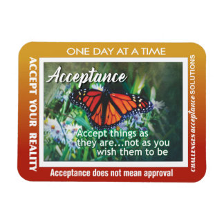 Íman 12 step acceptance magnet 26 butterflies