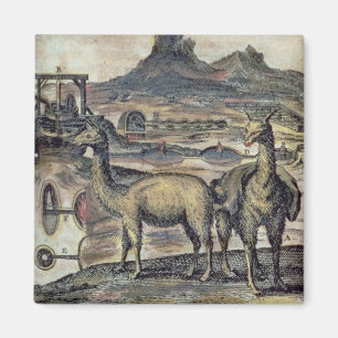 Íman 137-0627924 ilustração de uma história de Peru 