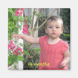 Íman 14 meses, 14 meses
