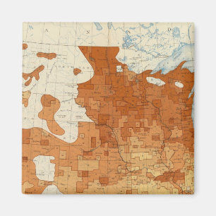 Íman 15 Proporção de parentesco estrangeiro branco 18