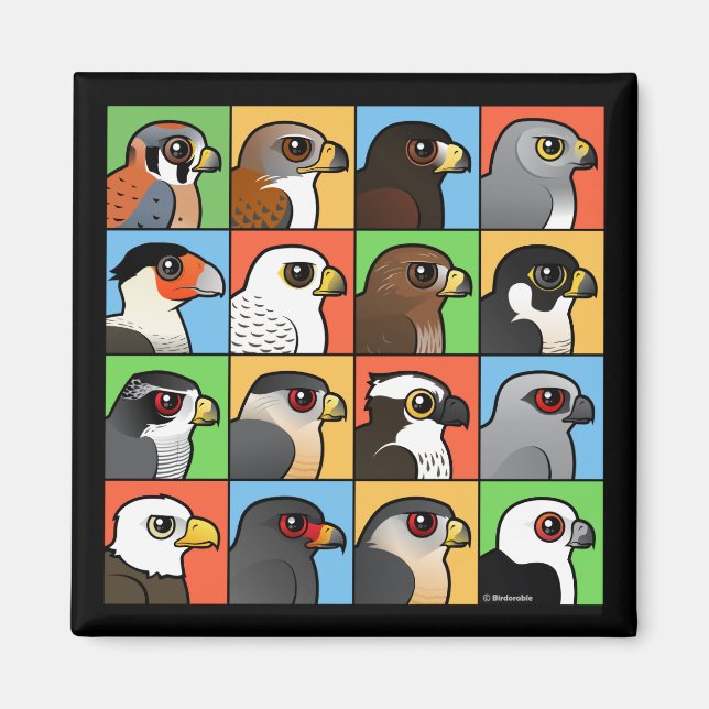 Íman 16 Perfis de Raptor norte-americanos (Frente)