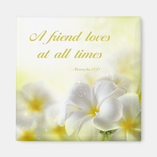 Íman 17:17 % pipe% dos provérbio do verso   da bíblia