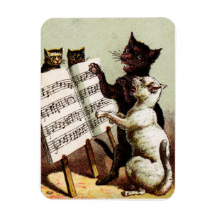Íman 19º C. Cats Cantantes
