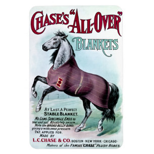 Íman 19ºC. Cobertores de Cavalo de Chase