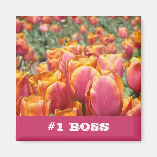 Íman #1 ímãs de presentes de flores de tulipa laranja r (Frente)
