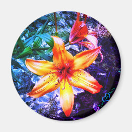 ÍMAN 1DAYLILLY MAGNET