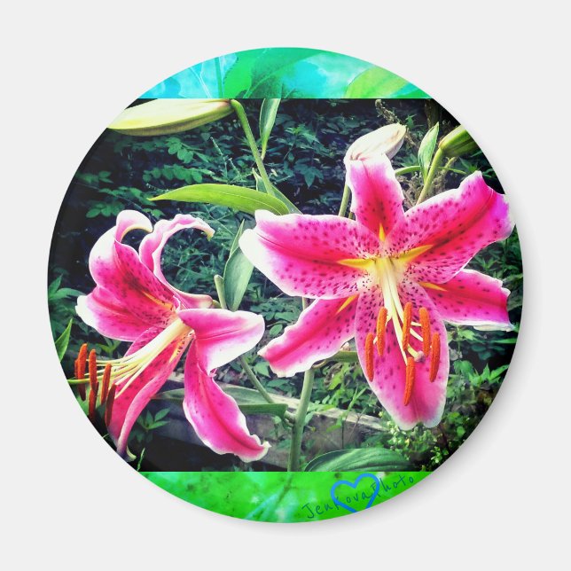 ÍMAN 1STARGAZZERS MAGNET (Frente)