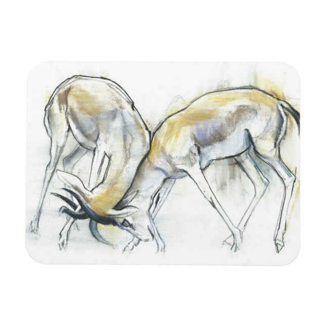 ÍMAN  2009 5 (Horizontal)