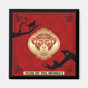 Íman 2016 anos do ímã do quadrado do macaco