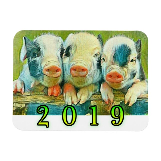 Íman 2019 Ano do Porco (Horizontal)