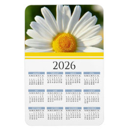 Íman 2026 Bright Shasta Daisy Calendar Magnet