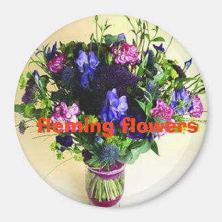 Íman 20 º fotos da casa 095, fleming fl...