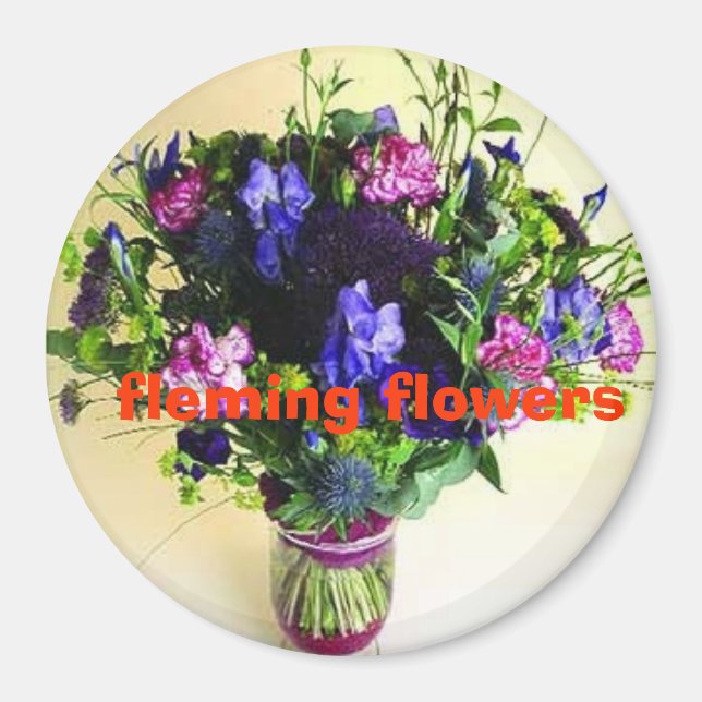 Íman 20 º fotos da casa 095, fleming fl... (Frente)