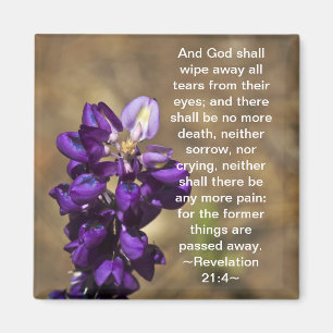 Íman 21:4 da revelação