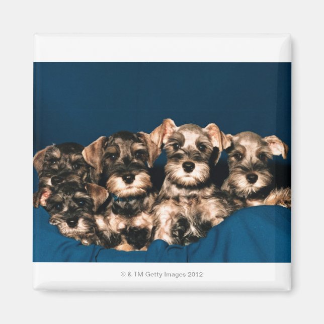 ÍMAN 24117057 (Frente)