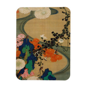 Íman 29. 菊花流水図, crisântemo do 若冲 & córr