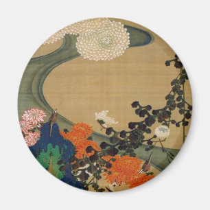 Íman 29. 菊花流水図, crisântemo do 若冲 & córr
