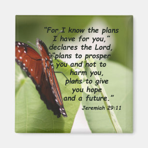 Íman 29:11 de Jeremiah (2)