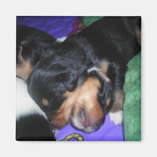 ÍMAN 2 CABEÇAS SÃO MELHORES QUE UMA (Frente)