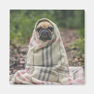 Íman 2 Cachorro Cortado