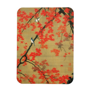 Íman 30. 紅 葉 小 禽 図, 若 冲 Maple & Small Bir