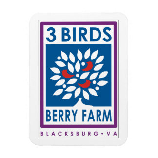 Íman 3 Aves Berry Fazenda Magnet