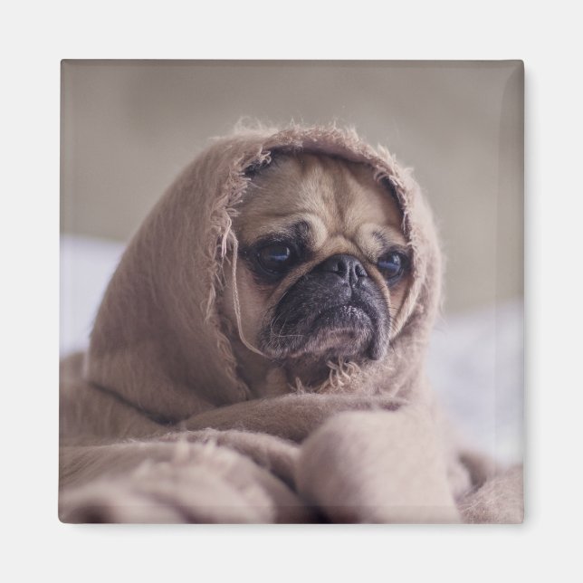 Íman 3 Cachorro Cortado (Frente)